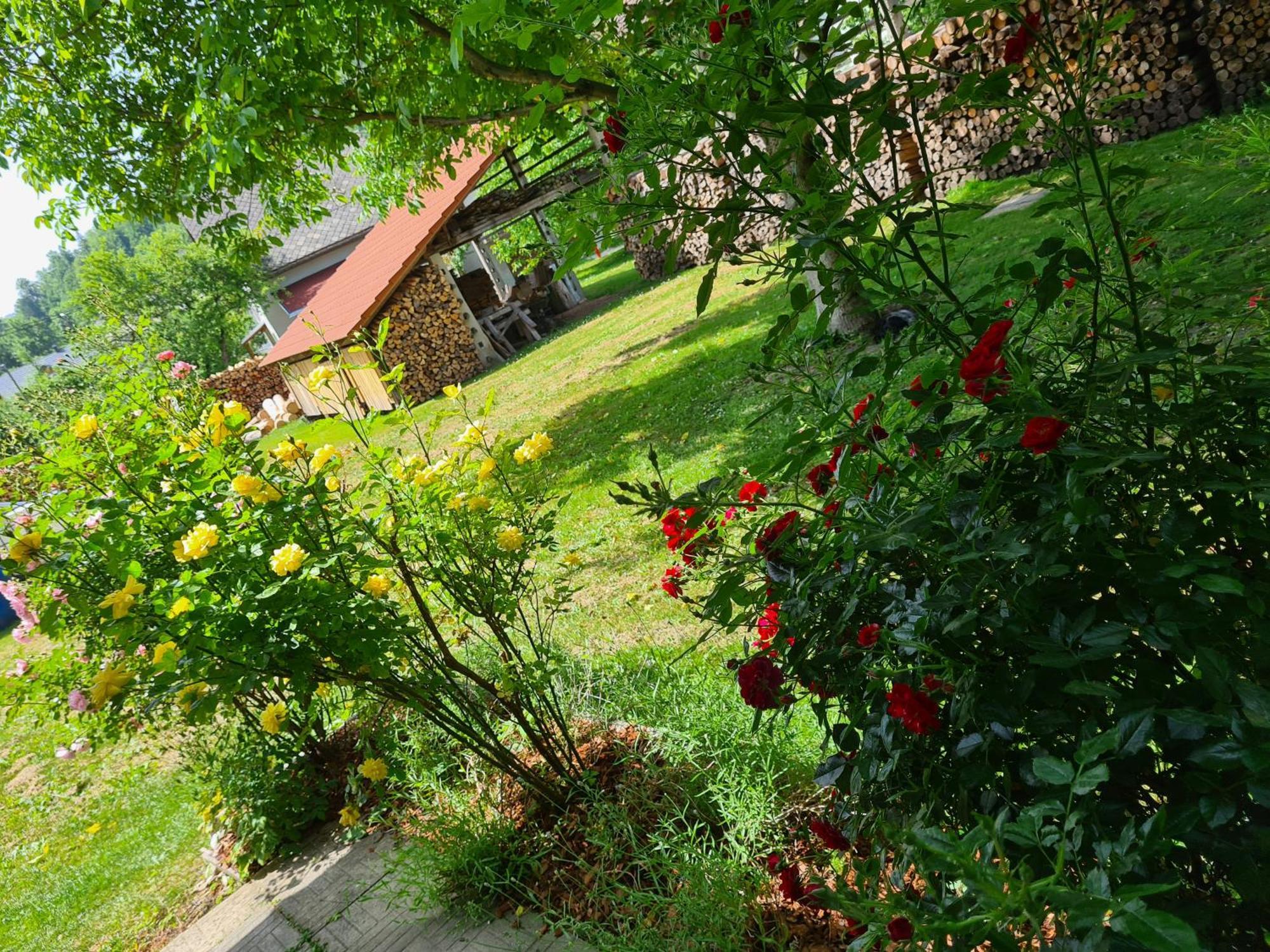 Gostilna Batist Bed & Breakfast Bohinjska Bela Luaran gambar